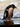 Felsenpinguin (Rockhopper penguin)