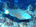 Stoplight parrotfish (<em>Sparisoma viride</em>)<br /><h4>Site: Lighthouse Reef (West Bay)</h4>