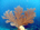 Bent sea rod coral (<em>Plexaura flexuosa</em>)<br /><h4>Site: Roger's Reef (East End)</h4>