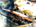 Trumpetfish (<em>Aulostomus maculatus</em>)<br /><h4>Site: Jack McKenney's Canyon (East End)</h4>