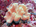 Mushroom leather coral (<em>Sarcophyton</em> sp.)<h4>Site: Kuda Giri</h4>