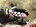 A clown triggerfish (<em>Balistoides conspicillum</em>)<h4>Site: Maaya Thila</h4>